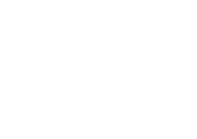 максимум